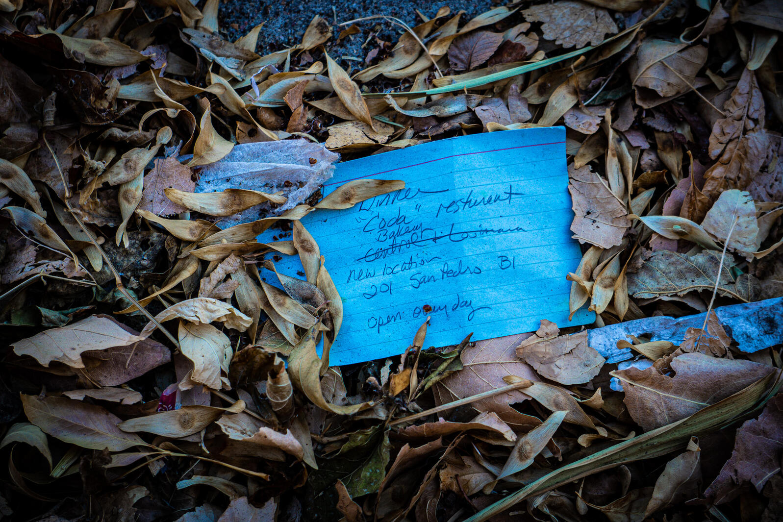 Untitled Untitled